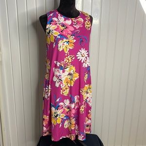 Lularoe Charlotte Swing Dress